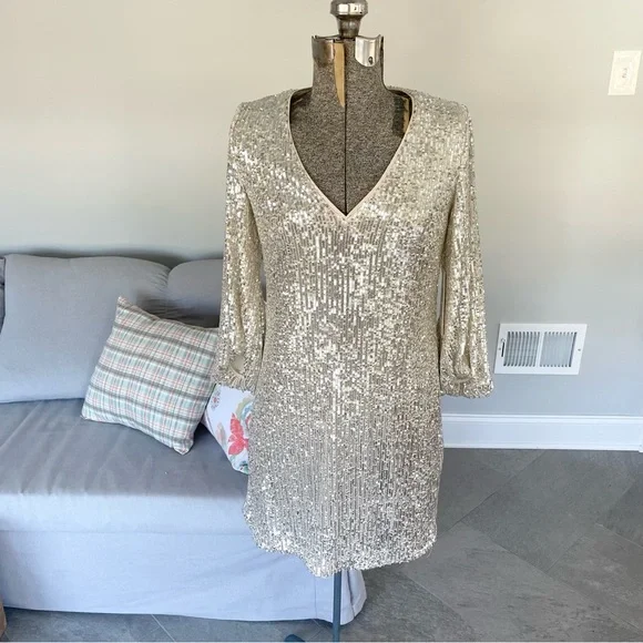 NWT Silver, and cream, Eliza J, double layered sequence dress - Picture 11 of 13
